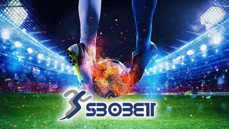 Những Điều Thú Vị Mà Bạn Chưa Biết Tại SBOBET Soc88